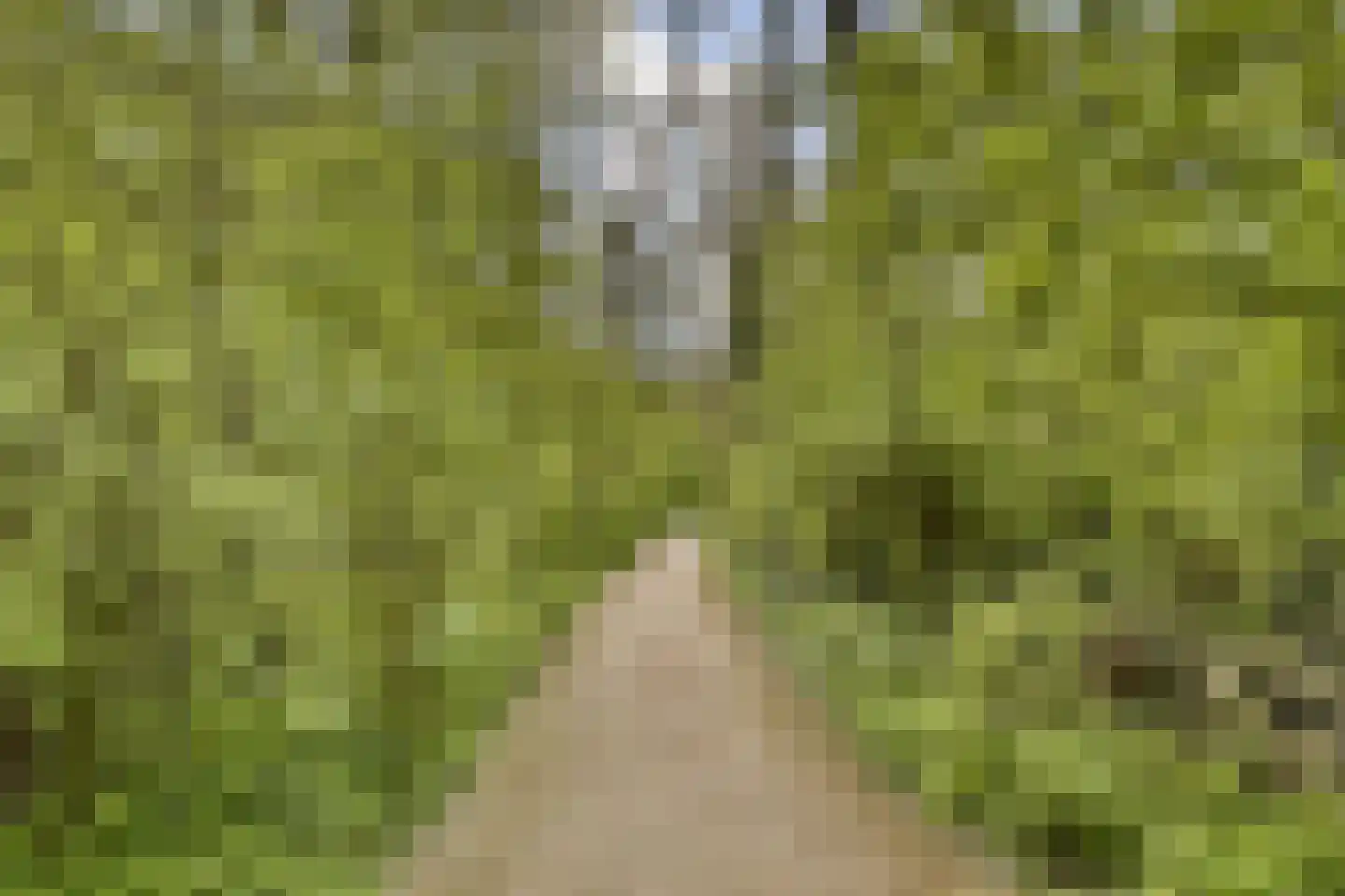 Malusdreef 1 Vlaardingen thumbnail 31