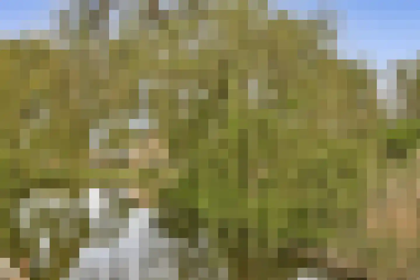 Malusdreef 1 Vlaardingen thumbnail 32