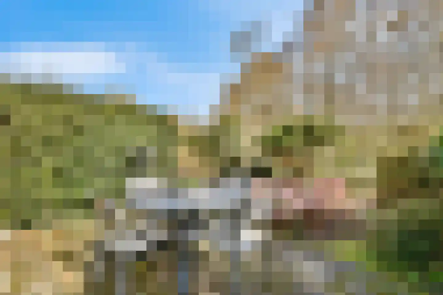 Malusdreef 43 Vlaardingen thumbnail 12