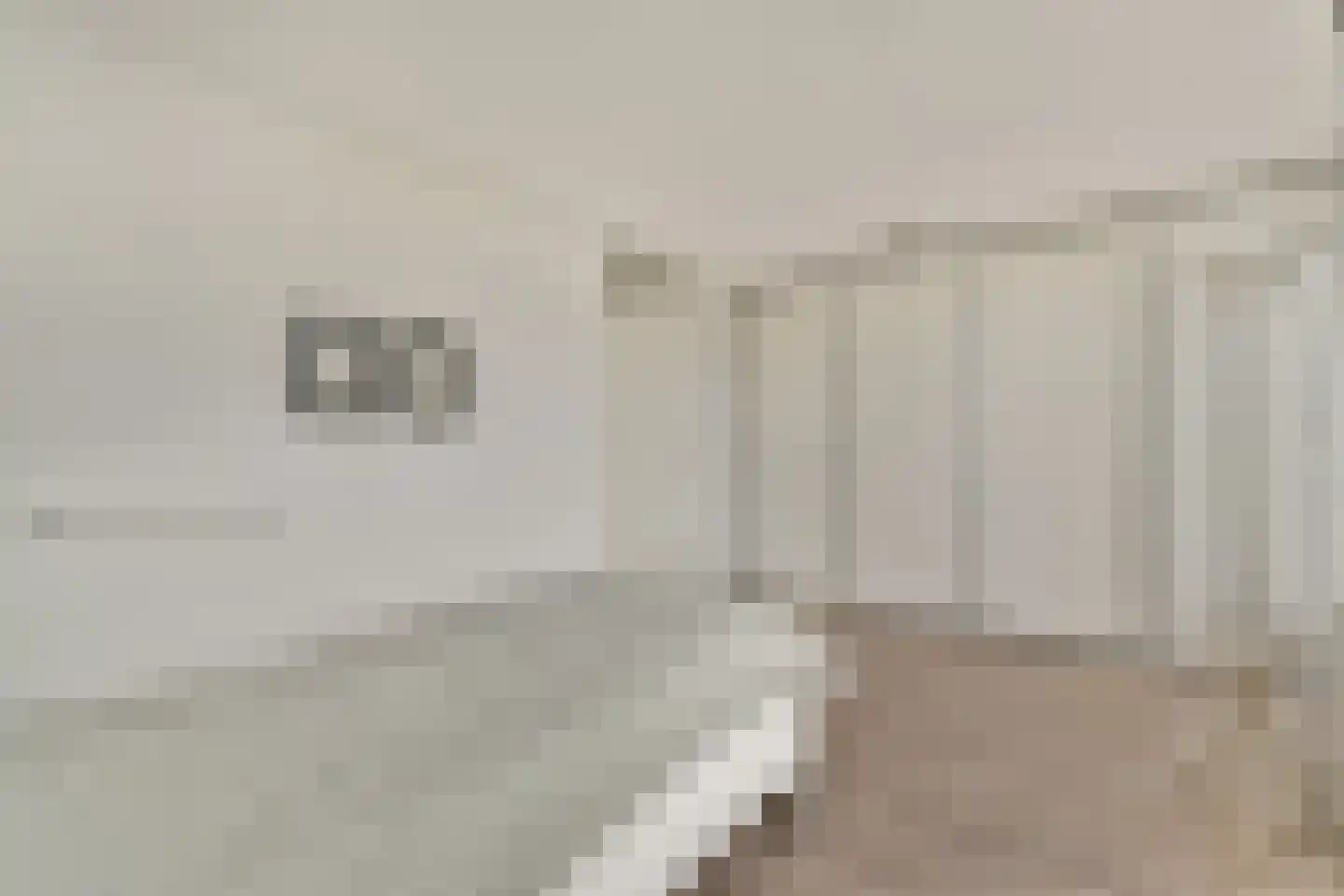 Malusdreef 43 Vlaardingen thumbnail 16