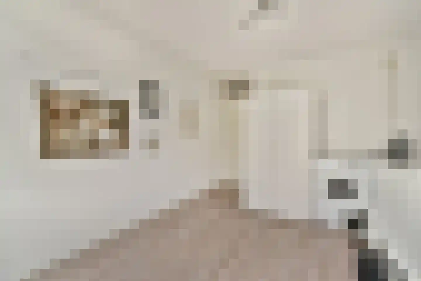Malusdreef 43 Vlaardingen thumbnail 20