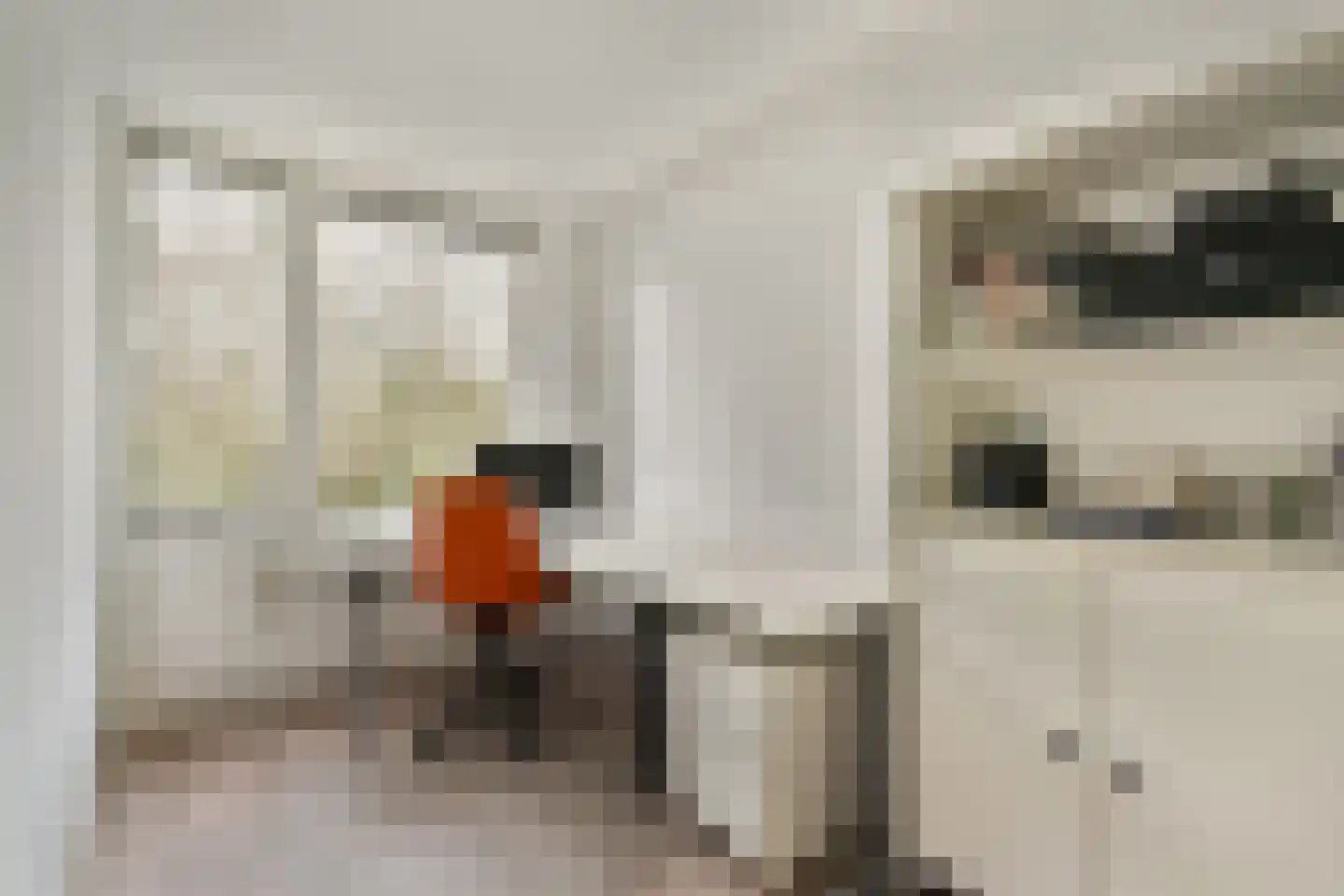 Malusdreef 43 Vlaardingen thumbnail 21