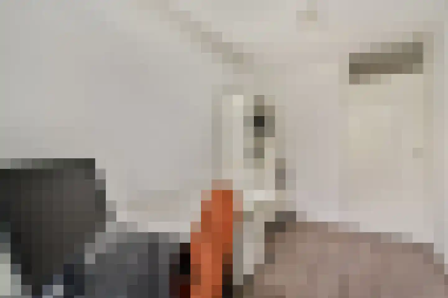 Malusdreef 43 Vlaardingen thumbnail 22