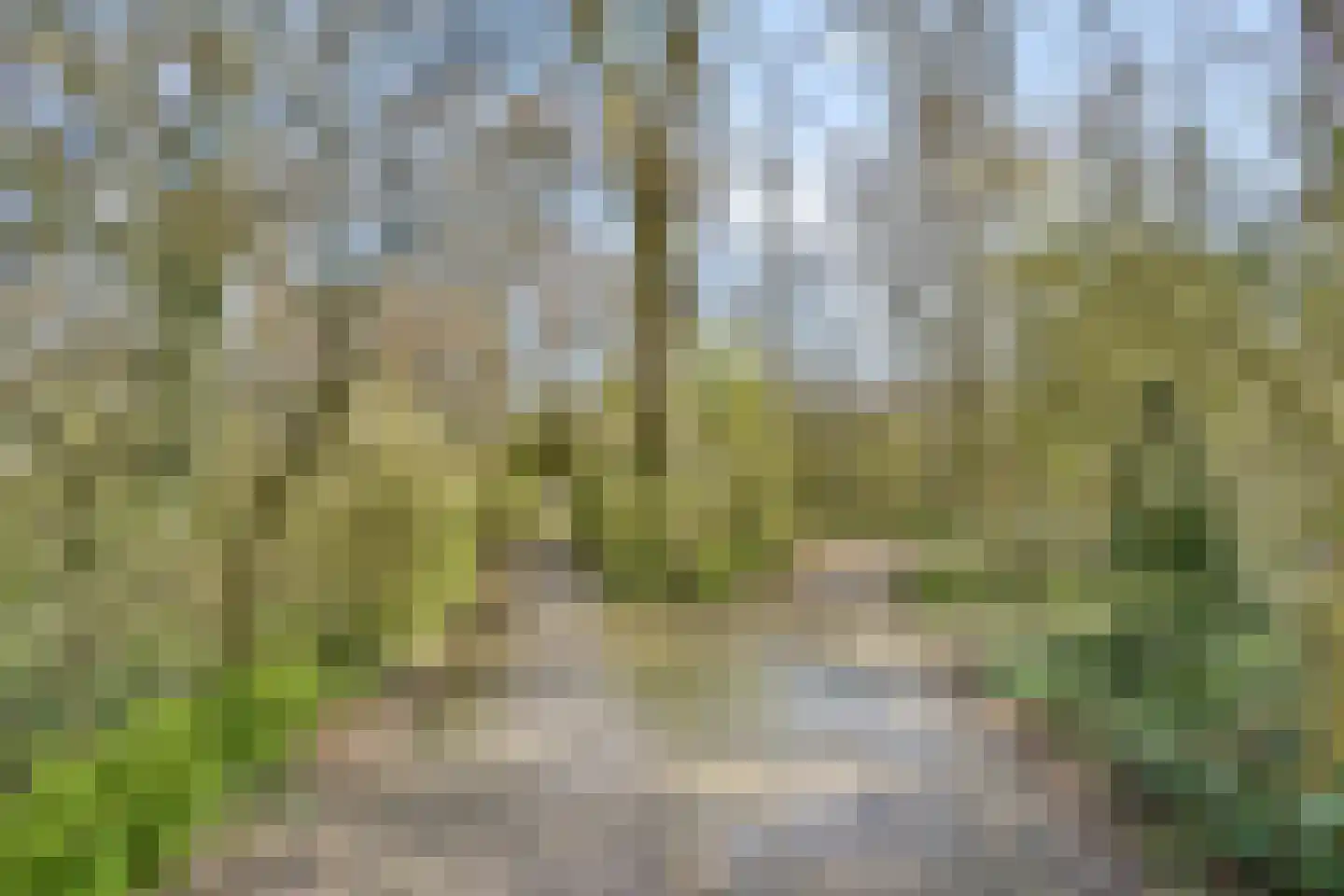 Malusdreef 43 Vlaardingen thumbnail 28
