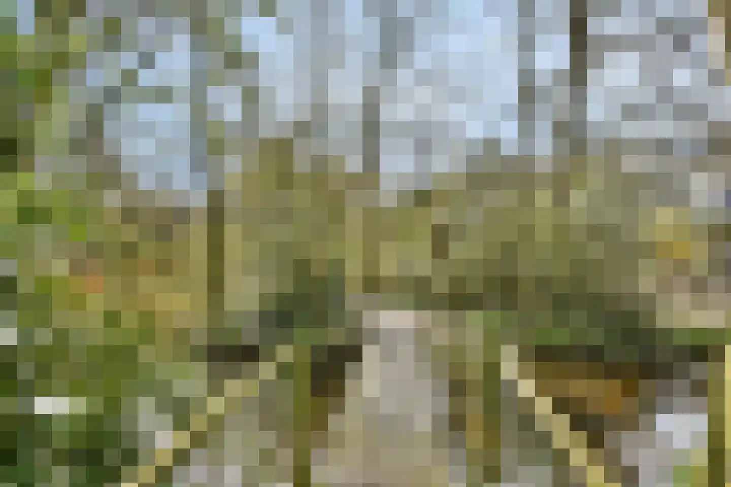 Malusdreef 43 Vlaardingen thumbnail 29