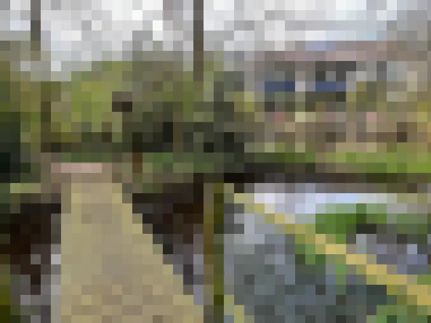 Malusdreef 43 Vlaardingen thumbnail 30