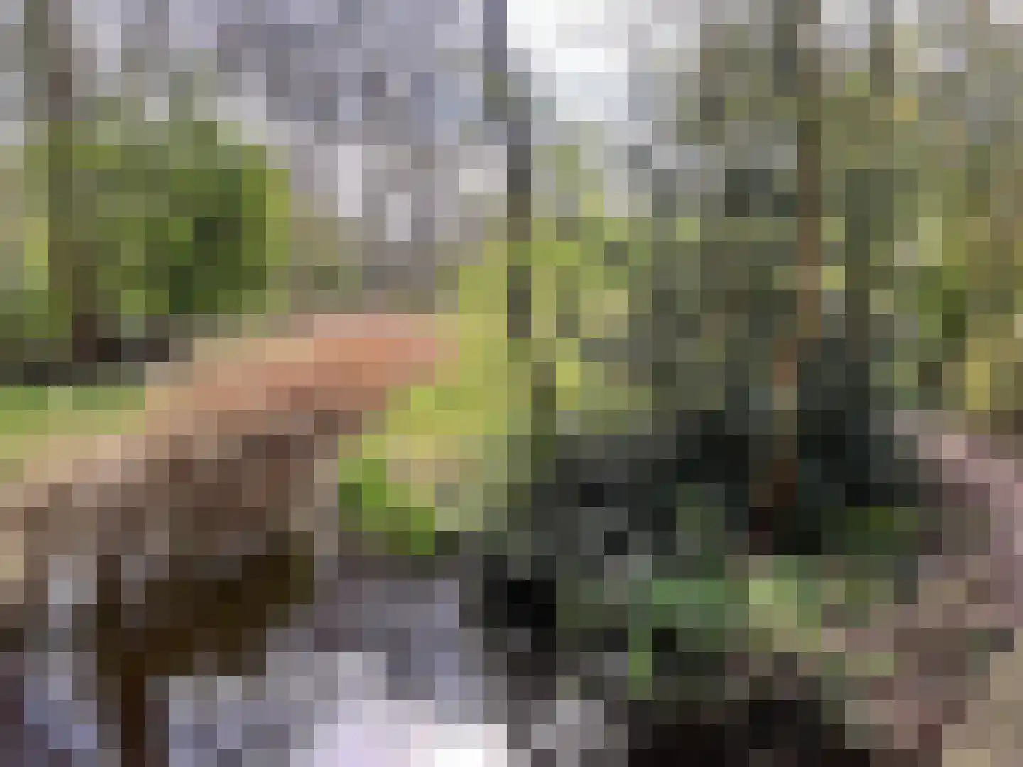 Malusdreef 43 Vlaardingen thumbnail 31