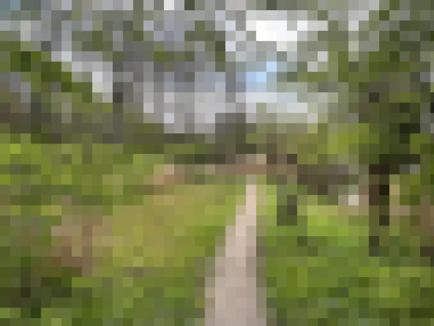 Malusdreef 43 Vlaardingen thumbnail 32