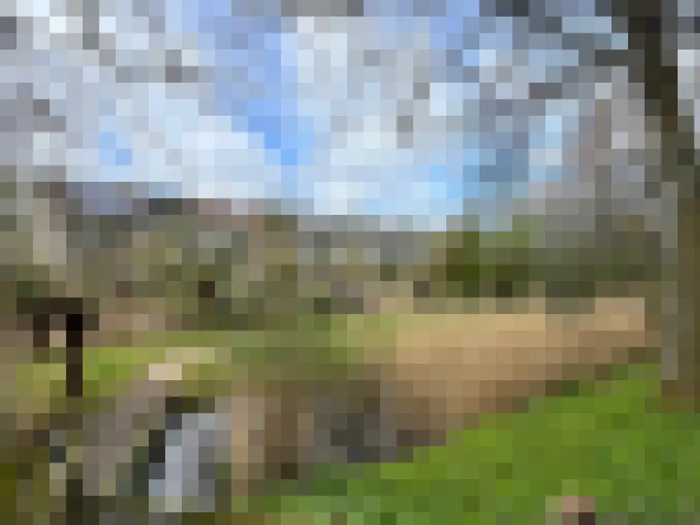 Malusdreef 43 Vlaardingen thumbnail 33