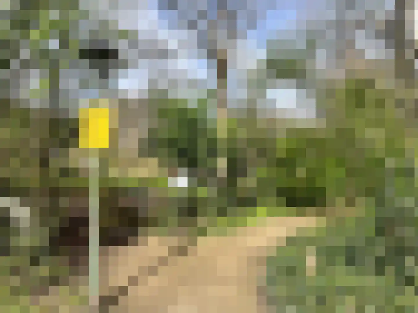 Malusdreef 43 Vlaardingen thumbnail 36