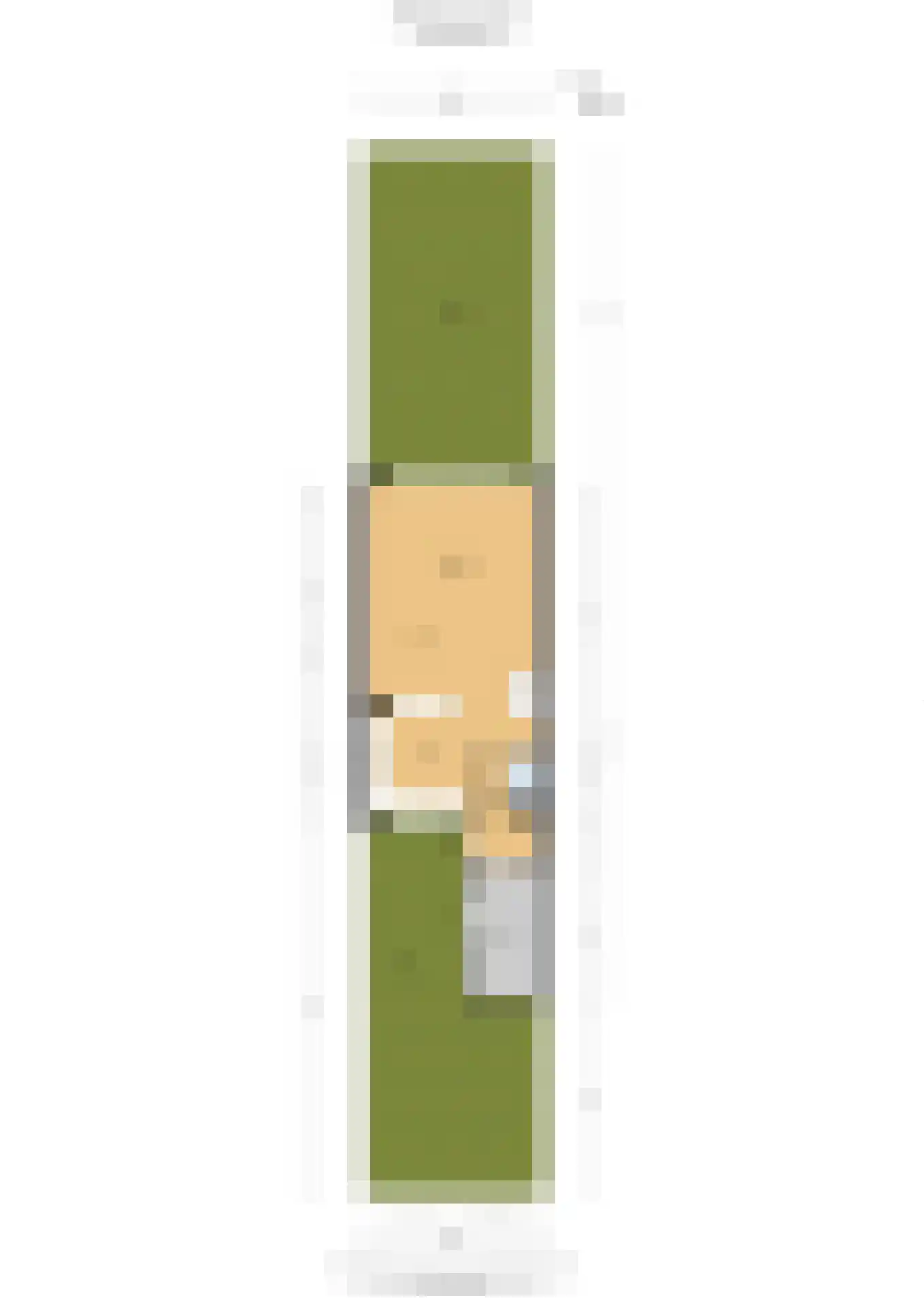 Malusdreef 43 Vlaardingen thumbnail 38