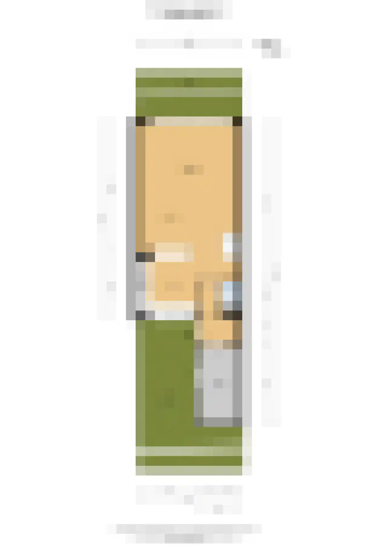 Malusdreef 43 Vlaardingen thumbnail 39