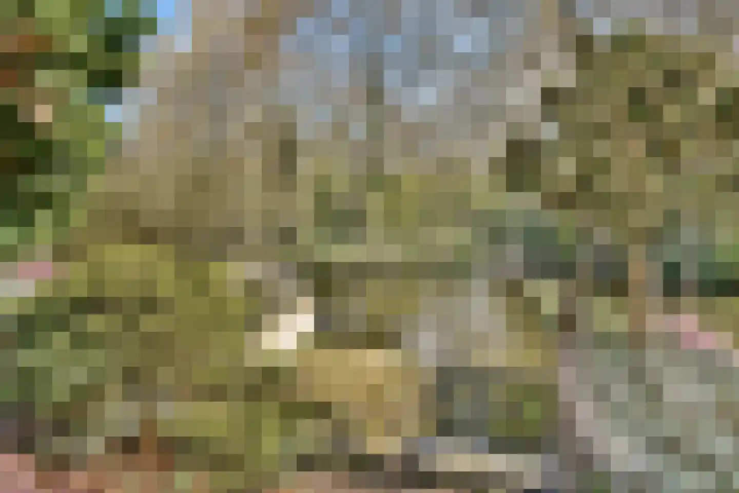 Malusdreef 43 Vlaardingen thumbnail 4