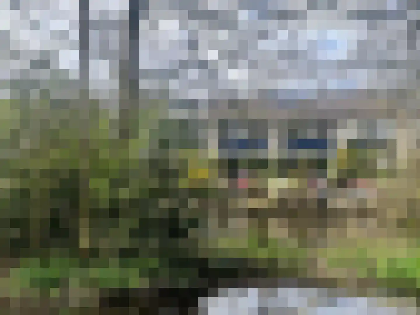 Malusdreef 43 Vlaardingen thumbnail 5