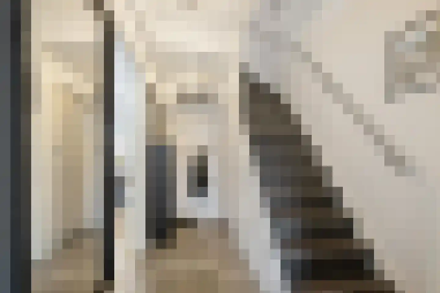 Maluslaan 106 Groningen thumbnail 11