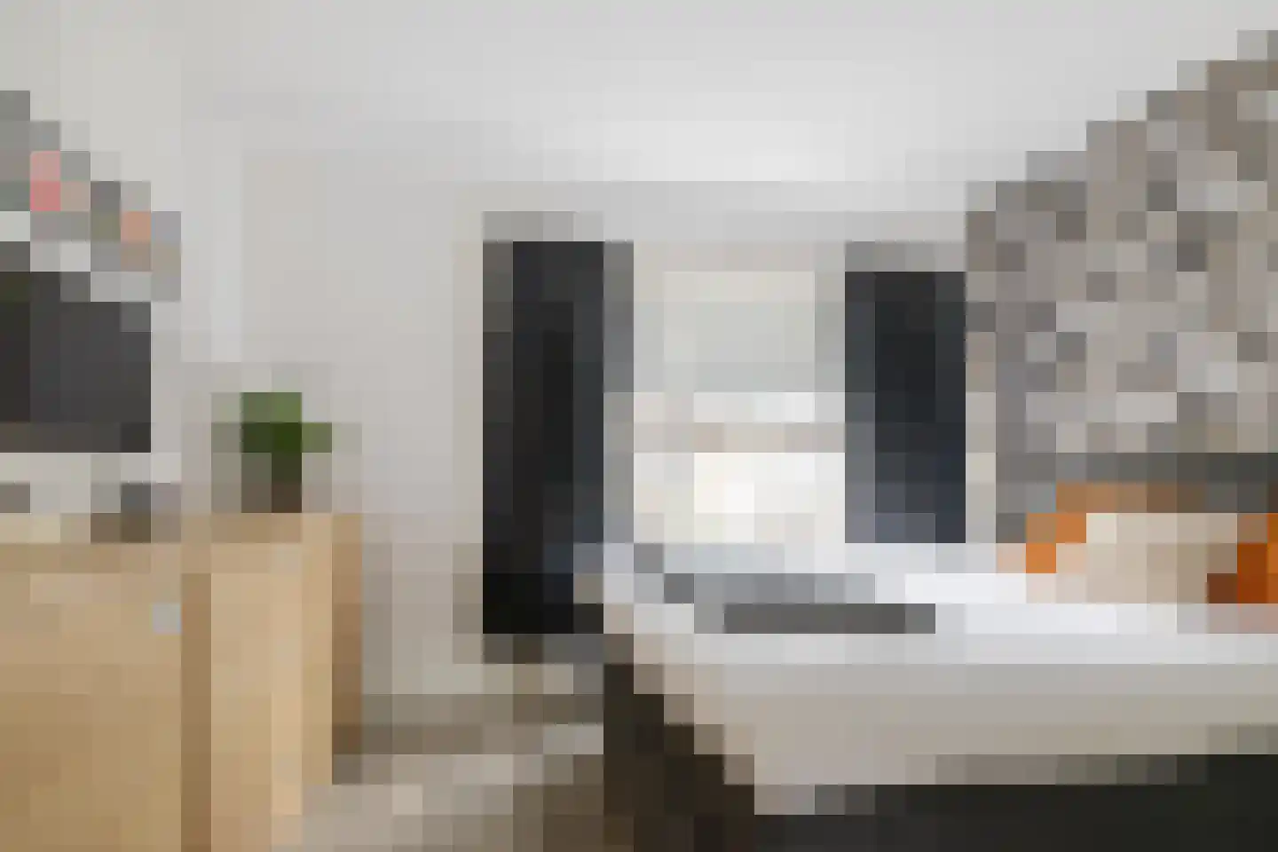 Maluslaan 106 Groningen thumbnail 23