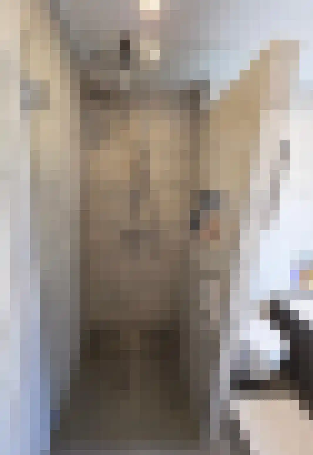 Maluslaan 106 Groningen thumbnail 30