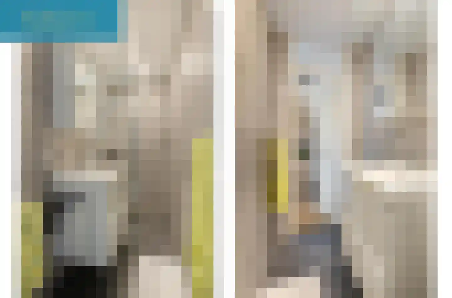 Maluslaan 106 Groningen thumbnail 32