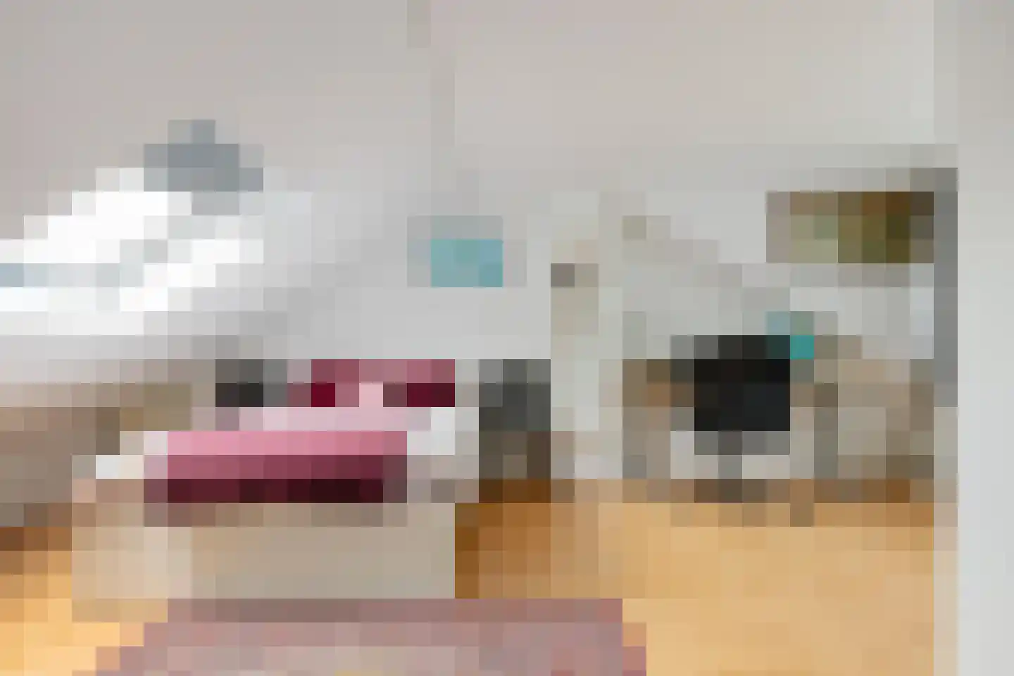 Maluslaan 106 Groningen thumbnail 34