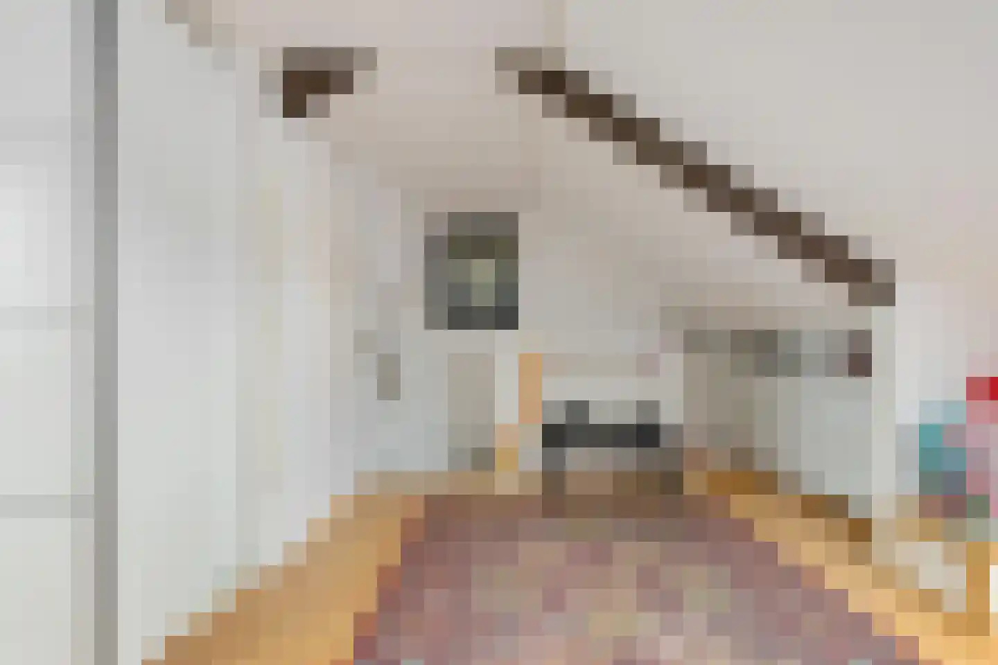 Maluslaan 106 Groningen thumbnail 37