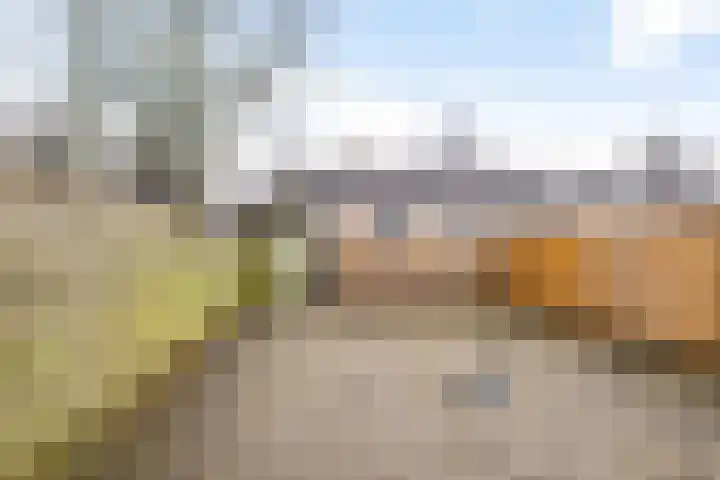 Maluslaan 114 Groningen thumbnail 18