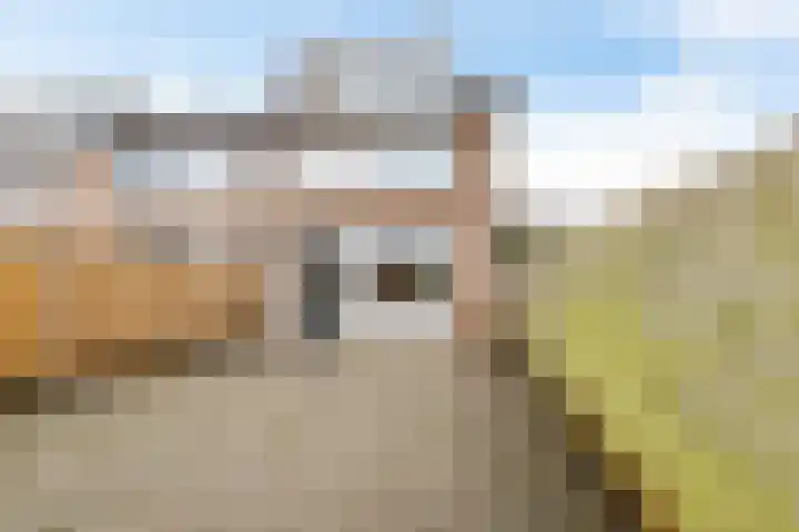 Maluslaan 114 Groningen thumbnail 19