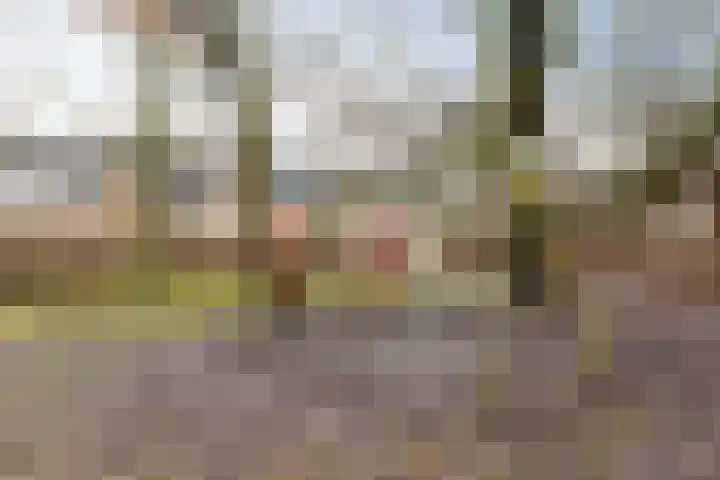 Maluslaan 114 Groningen thumbnail 26