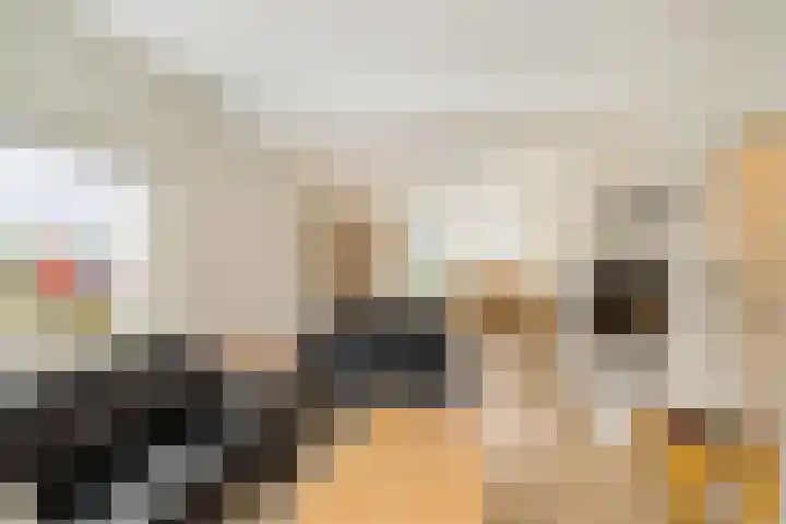 Maluslaan 114 Groningen thumbnail 6