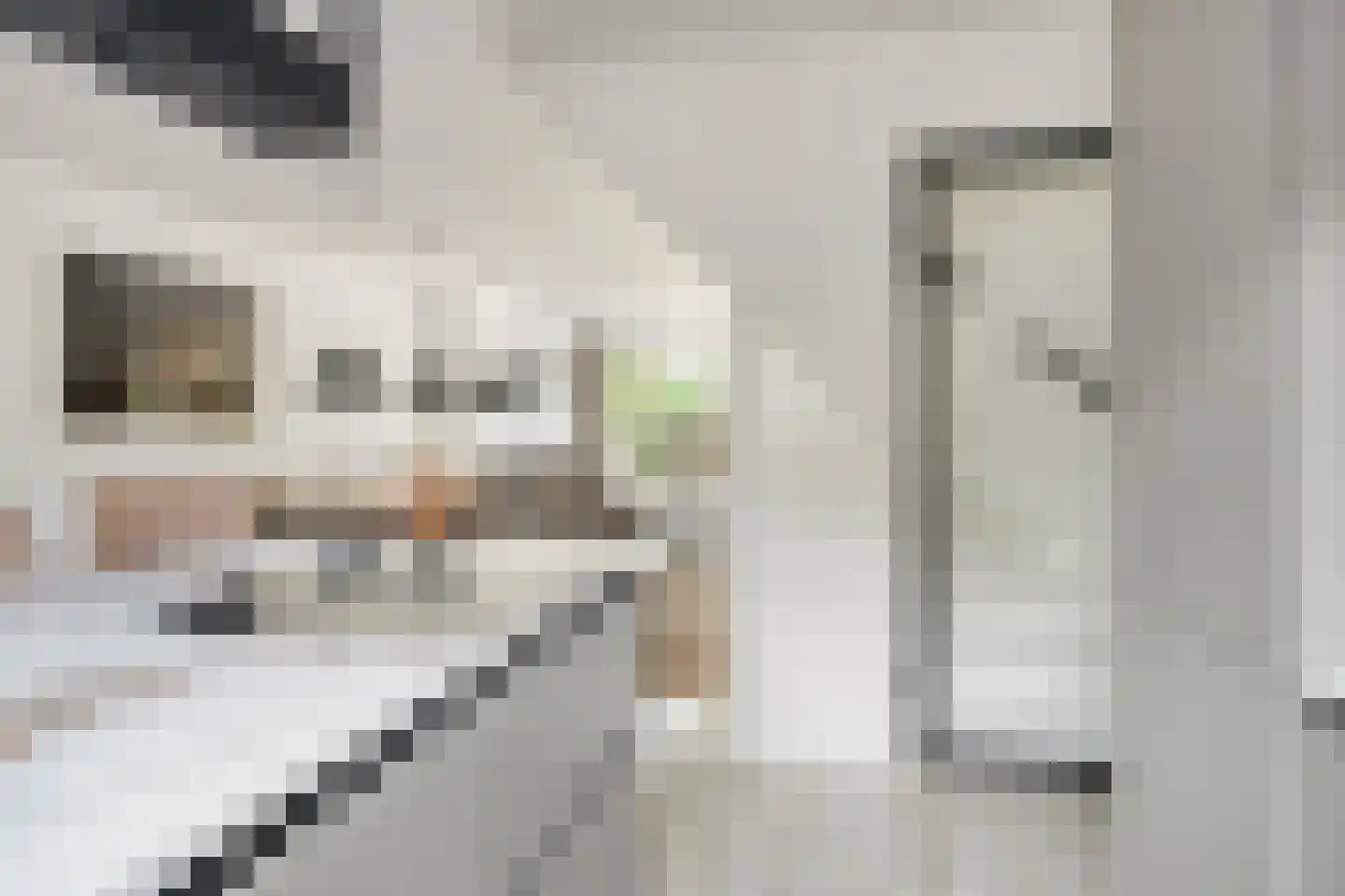 Maluslaan 20 Scherpenisse thumbnail 14