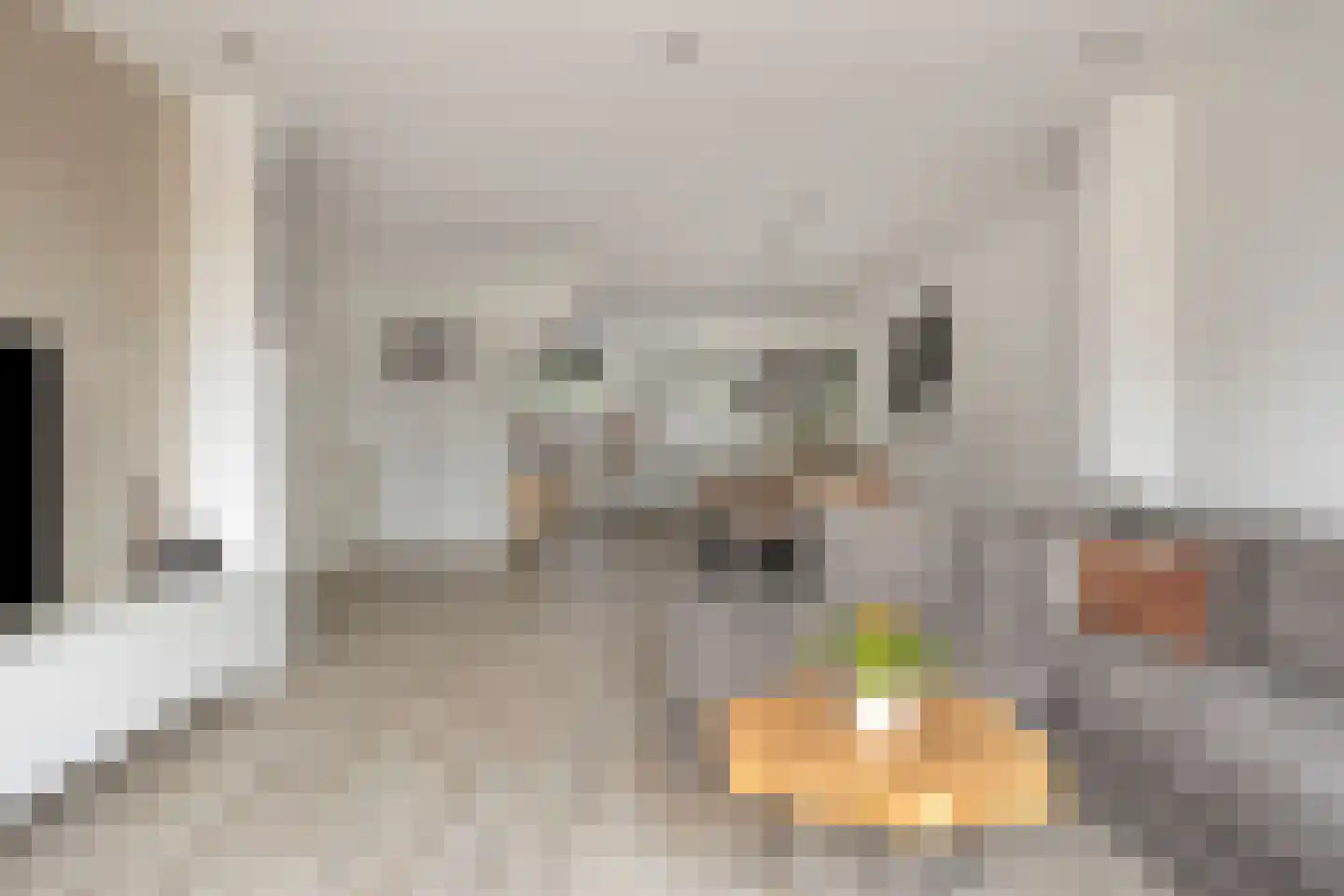 Maluslaan 20 Scherpenisse thumbnail 18