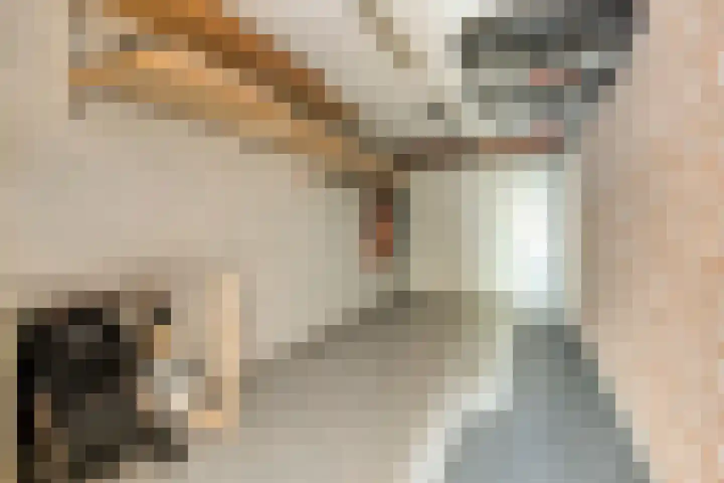 Maluslaan 20 Scherpenisse thumbnail 20