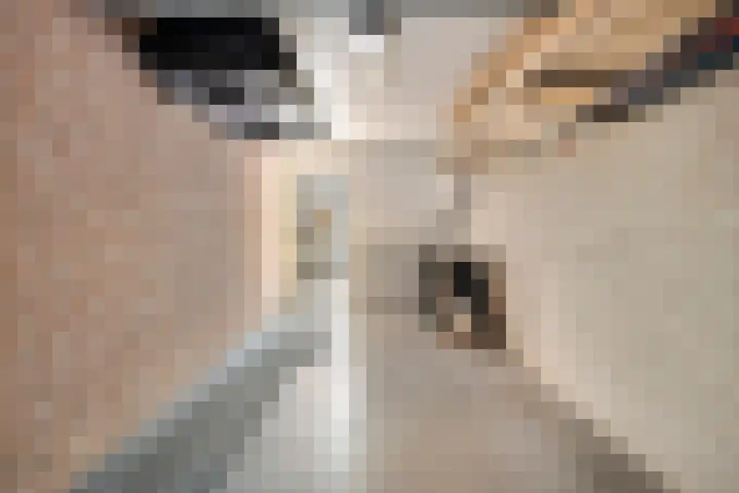 Maluslaan 20 Scherpenisse thumbnail 21