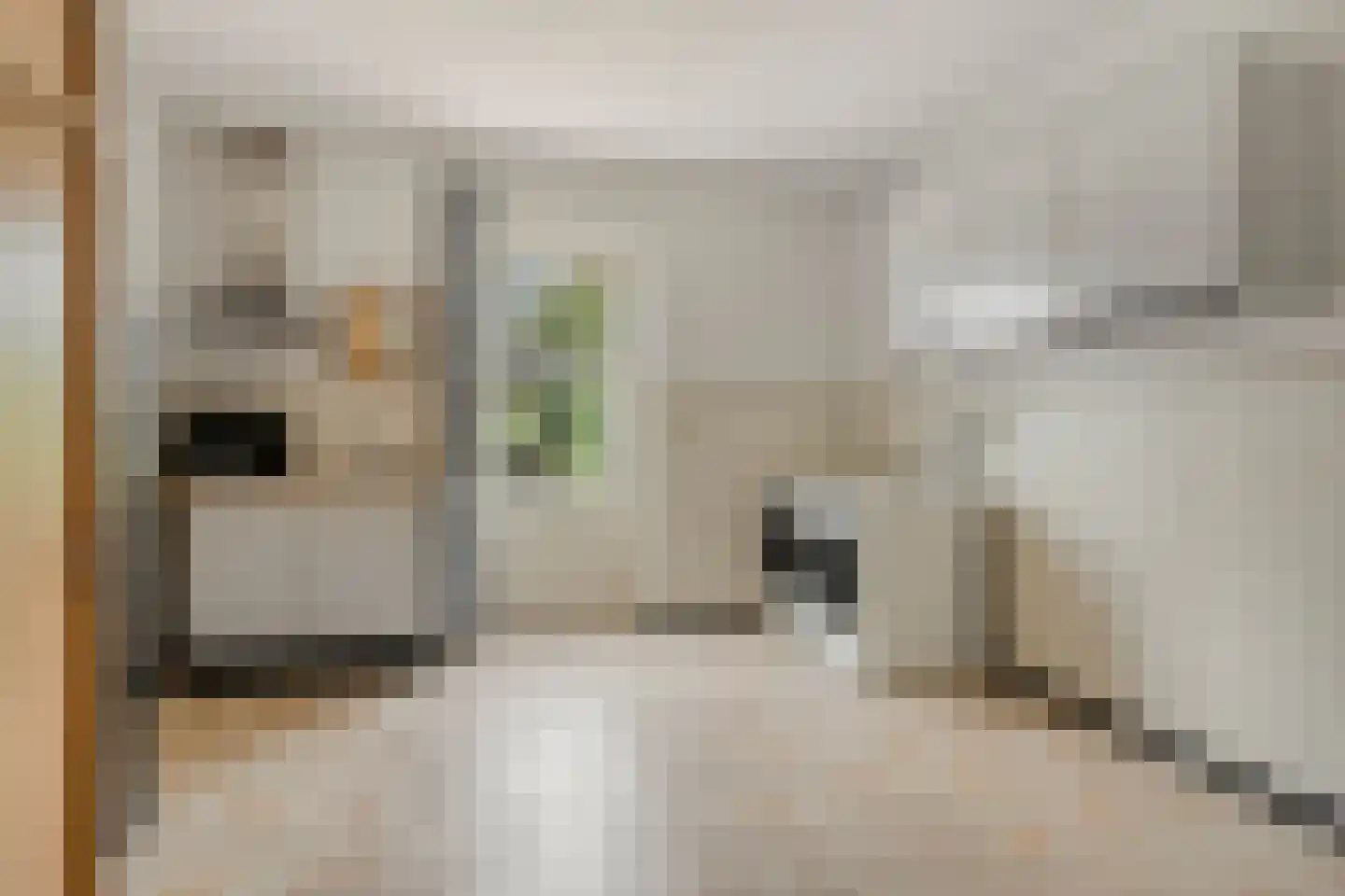 Maluslaan 20 Scherpenisse thumbnail 23