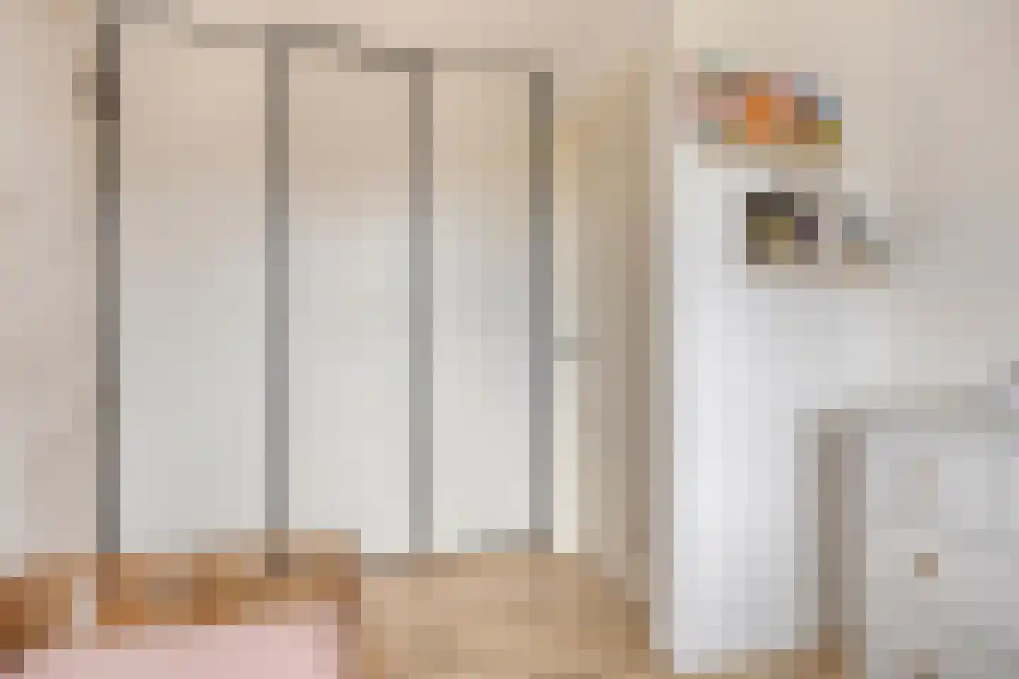 Maluslaan 20 Scherpenisse thumbnail 26