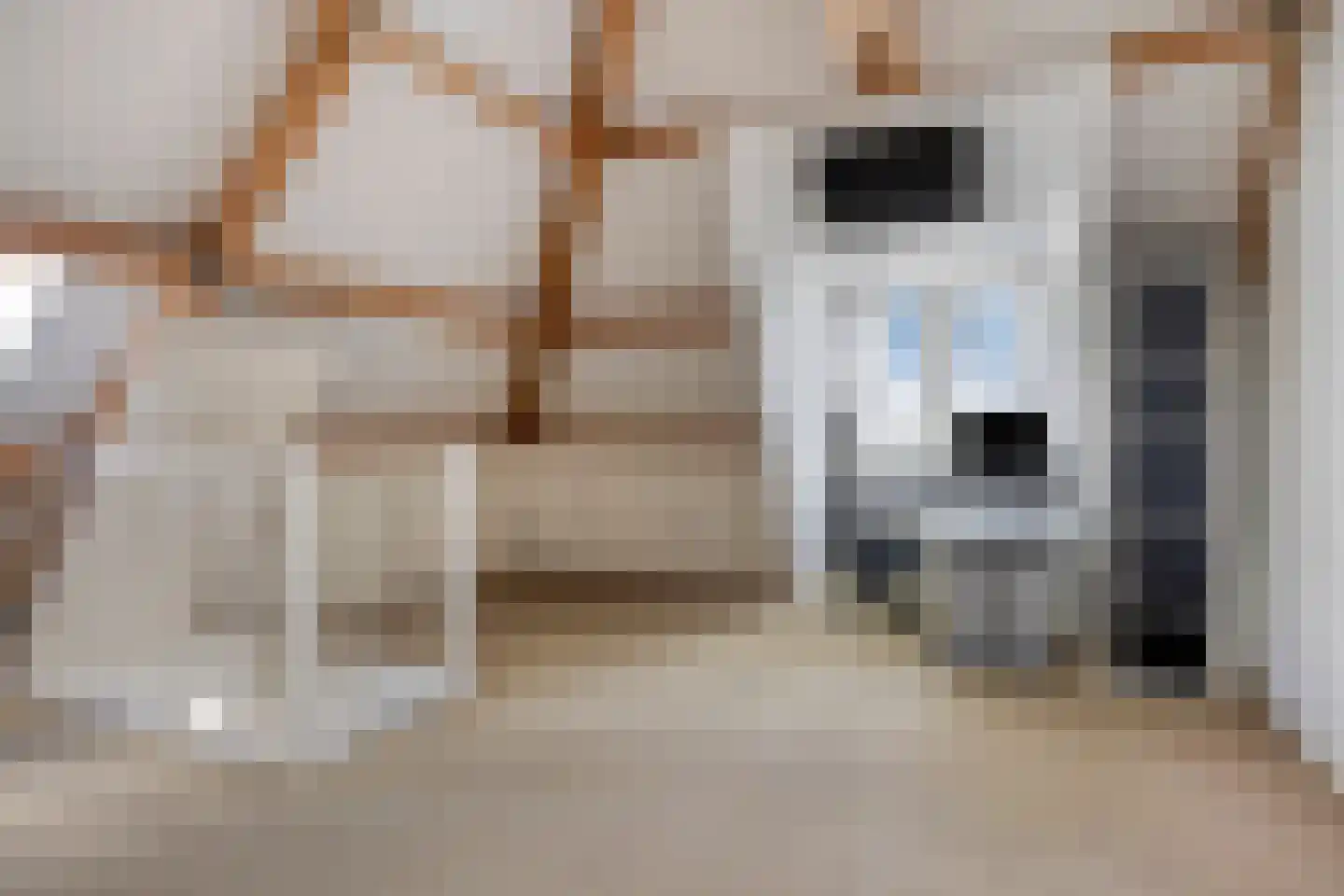 Maluslaan 20 Scherpenisse thumbnail 36