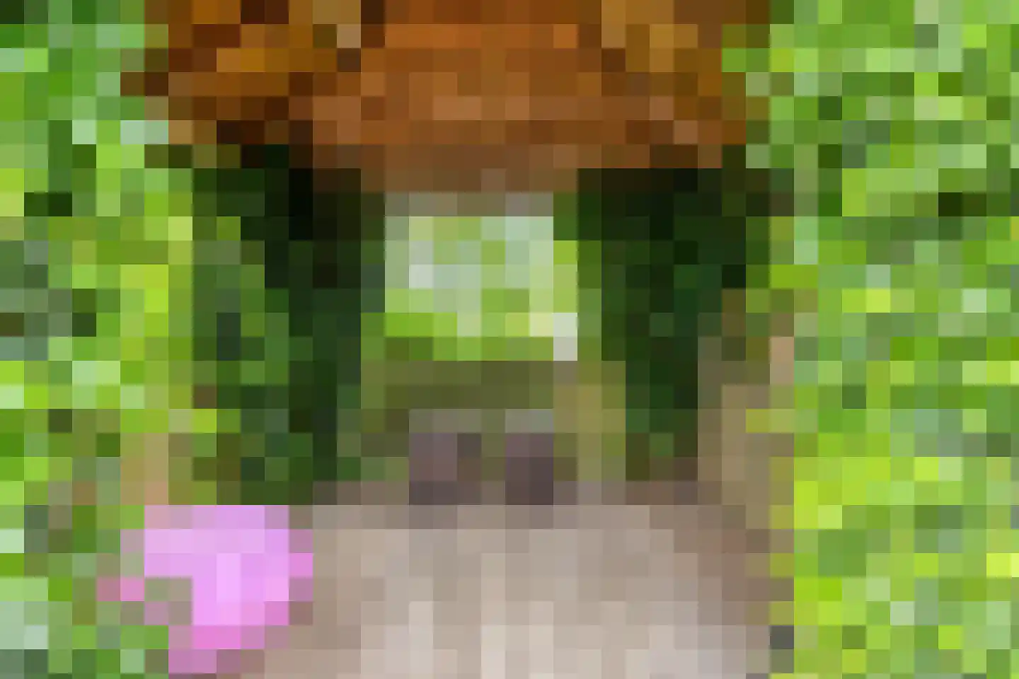 Maluslaan 20 Scherpenisse thumbnail 45