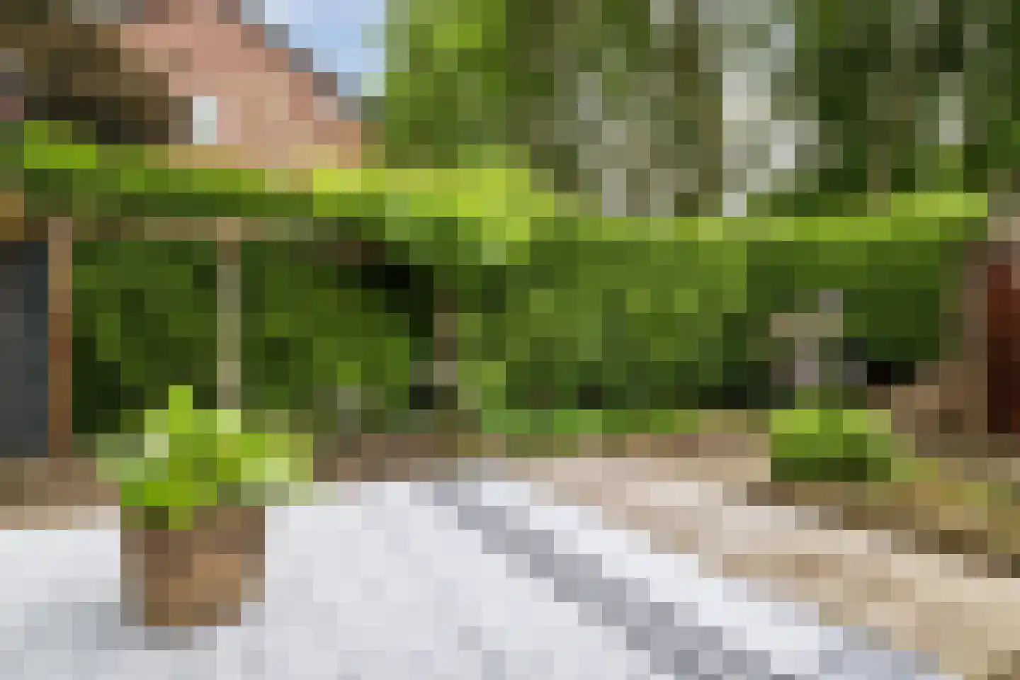 Maluslaan 86 Groningen thumbnail 42