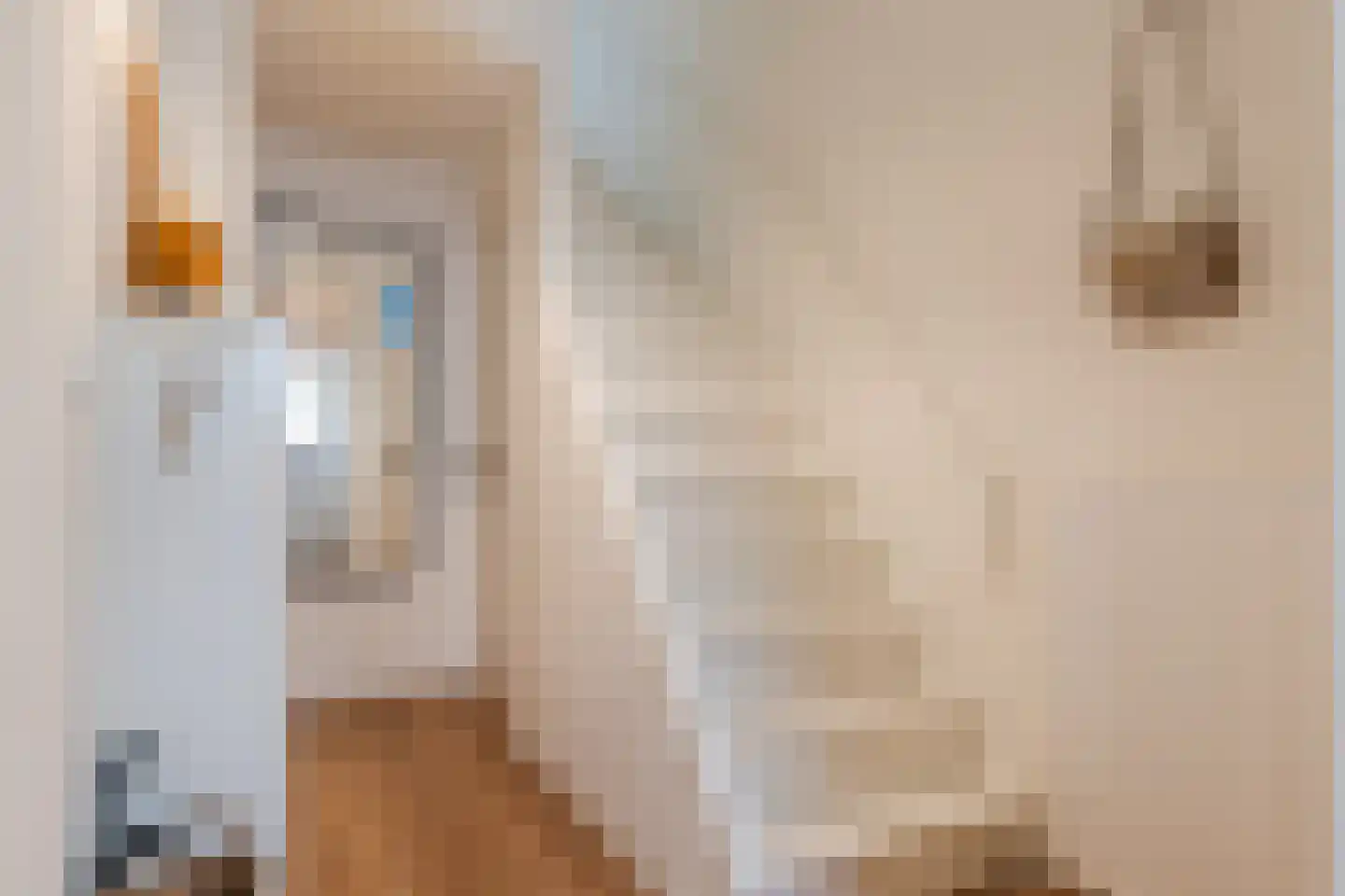 Maluslaan 86 Groningen thumbnail 8