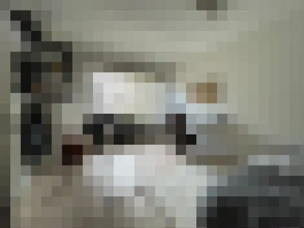 Maluslaan Groningen thumbnail 10
