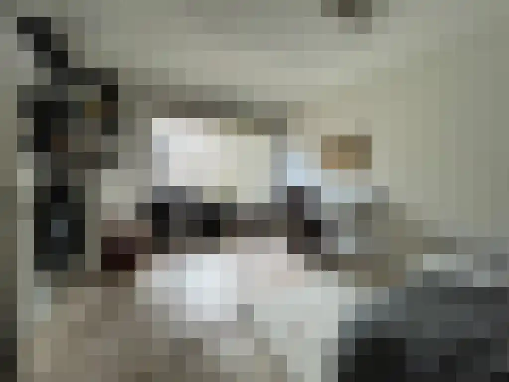 Maluslaan Groningen thumbnail 4