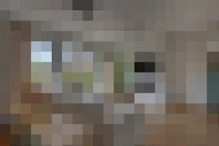 Malusstraat 17 Borculo thumbnail 7