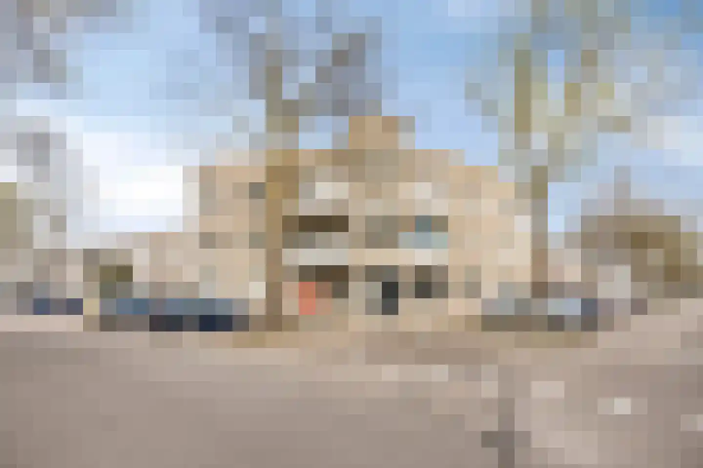 Malvabeemd 34 A Maastricht thumbnail 38