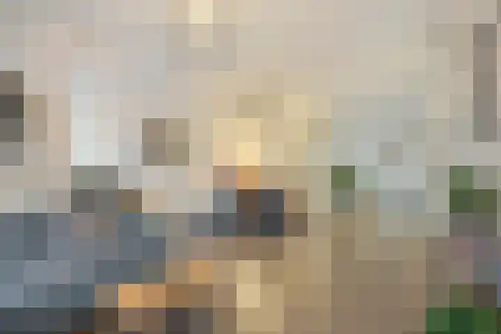 Malvabeemd 34 C Maastricht thumbnail 12