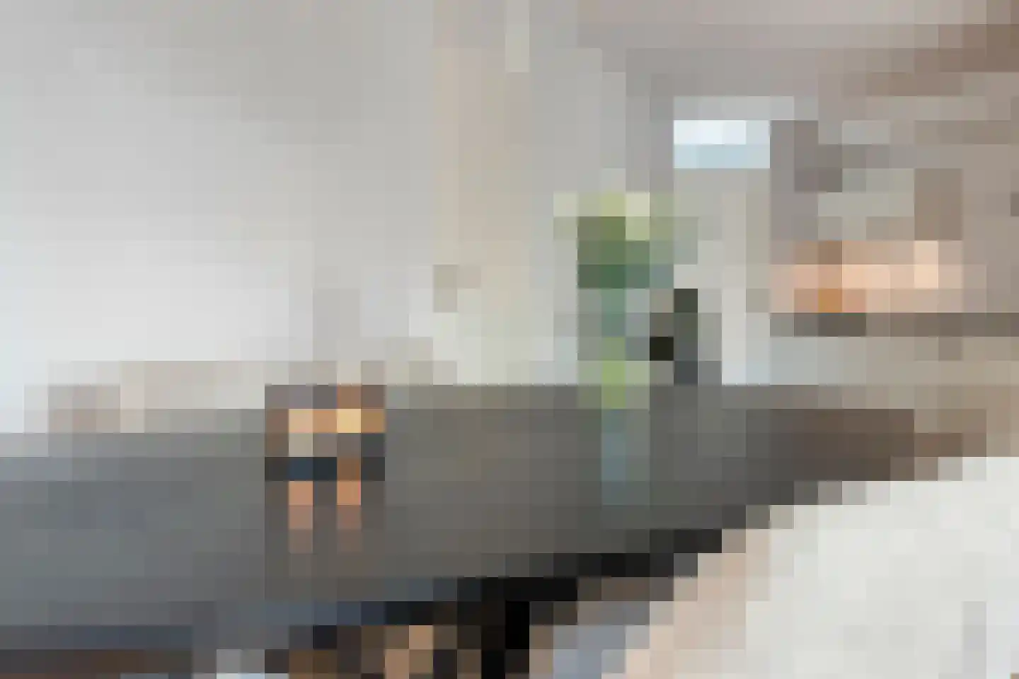 Malvabeemd 34 C Maastricht thumbnail 14