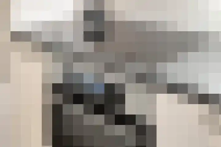 Malvabeemd 34 C Maastricht thumbnail 18
