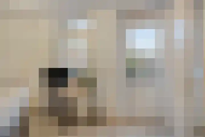Malvabeemd 34 C Maastricht thumbnail 22
