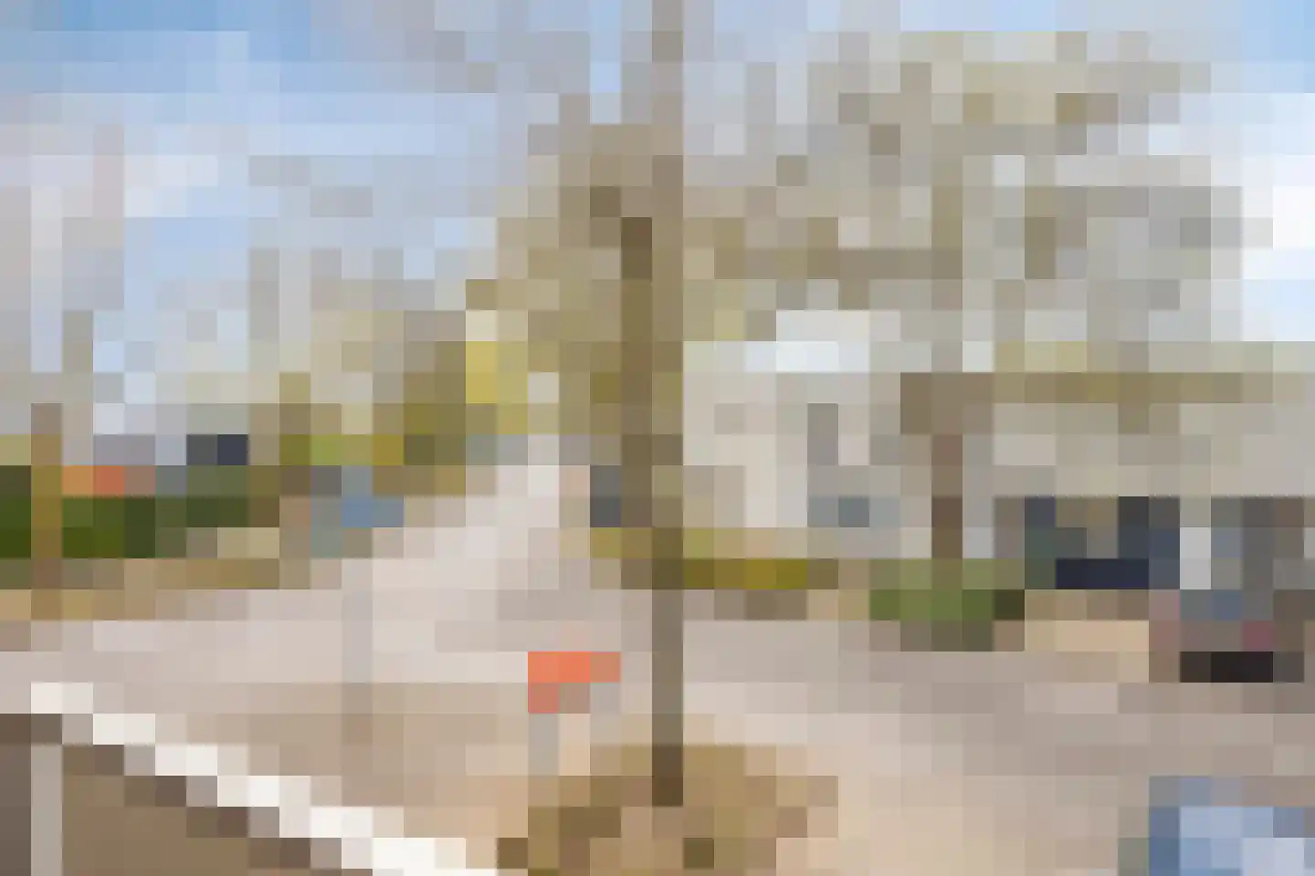 Malvabeemd 34 C Maastricht thumbnail 25