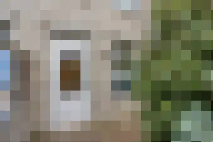 Malvabeemd 34 C Maastricht thumbnail 30