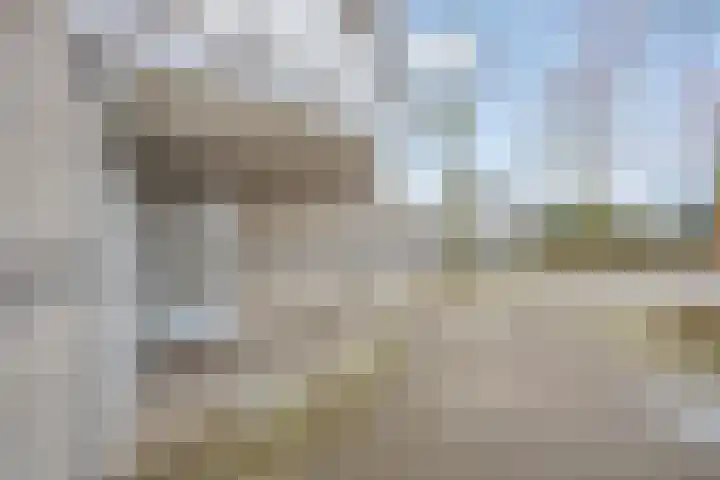 Malvabeemd 34 C Maastricht thumbnail 34