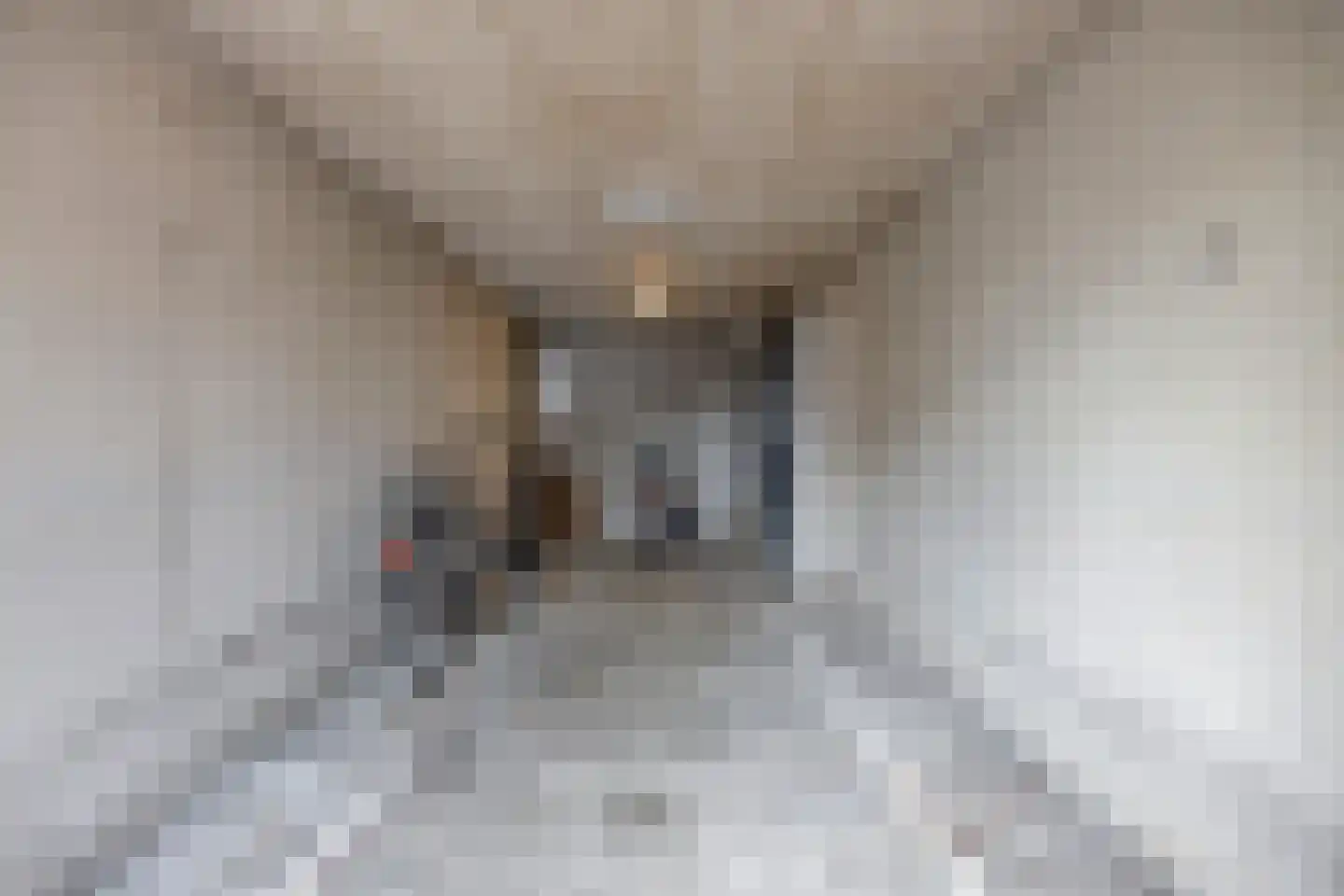 Malvabeemd 34 C Maastricht thumbnail 37